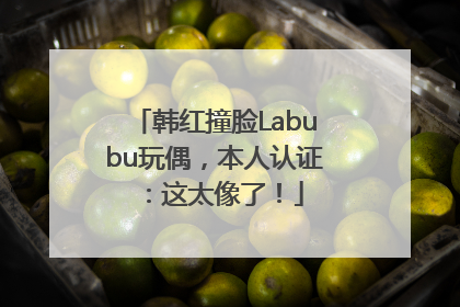 韩红撞脸Labubu玩偶，本人认证：这太像了！