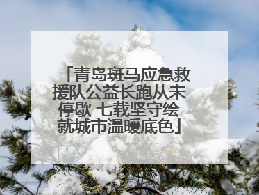 青岛斑马应急救援队公益长跑从未停歇 七载坚守绘就城市温暖底色