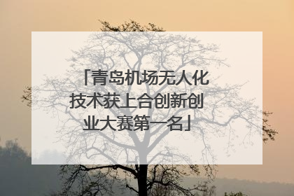 青岛机场无人化技术获上合创新创业大赛第一名