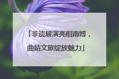 非遗展演亮相南博，曲靖文旅绽放魅力