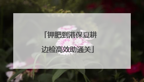 钾肥到港保夏耕 边检高效助通关