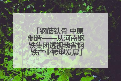 钢筋铁骨 中原制造——从河南钢铁集团透视我省钢铁产业转型发展