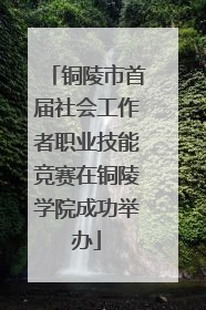 铜陵市首届社会工作者职业技能竞赛在铜陵学院成功举办
