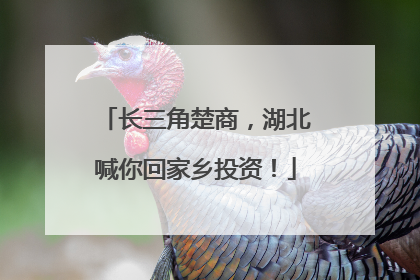 长三角楚商，湖北喊你回家乡投资！
