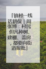 镇村一线话耕保｜周张博：村民但凡种树、建棚、盖房，都要向街道报批
