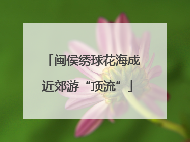 闽侯绣球花海成近郊游“顶流”