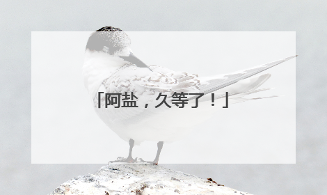 阿盐，久等了！