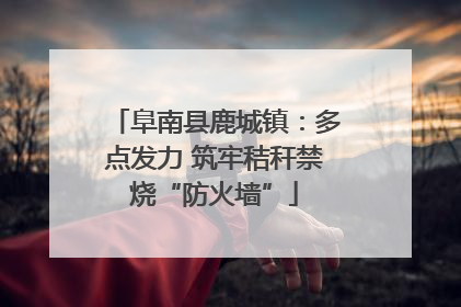 阜南县鹿城镇：多点发力 筑牢秸秆禁烧“防火墙”
