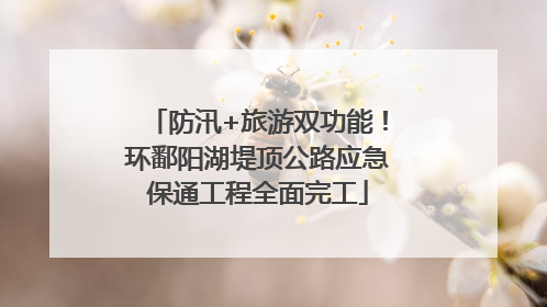 防汛+旅游双功能！环鄱阳湖堤顶公路应急保通工程全面完工