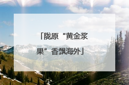 陇原“黄金浆果”香飘海外