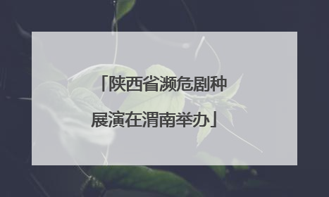 陕西省濒危剧种展演在渭南举办