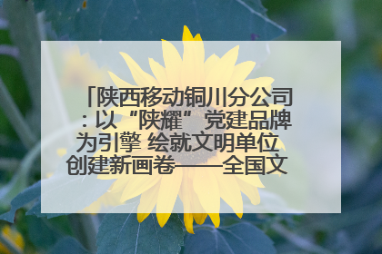 陕西移动铜川分公司：以“陕耀”党建品牌为引擎 绘就文明单位创建新画卷——全国文明单位创建纪实