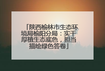 陕西榆林市生态环境局榆阳分局：实干厚植生态底色，担当描绘绿色答卷
