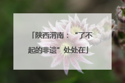 陕西渭南：“了不起的非遗”处处在