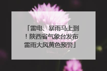 雷电、暴雨马上到！陕西省气象台发布雷雨大风黄色预警