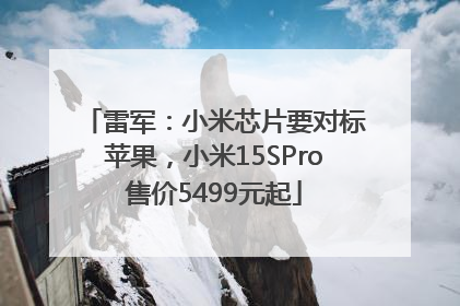 雷军：小米芯片要对标苹果，小米15SPro售价5499元起