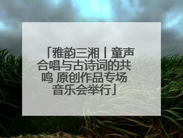 雅韵三湘丨童声合唱与古诗词的共鸣 原创作品专场音乐会举行