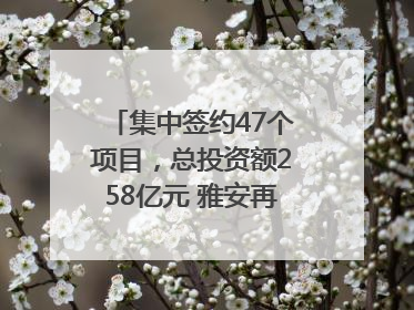 集中签约47个项目，总投资额258亿元 雅安再添发展“新引擎”｜数读西投