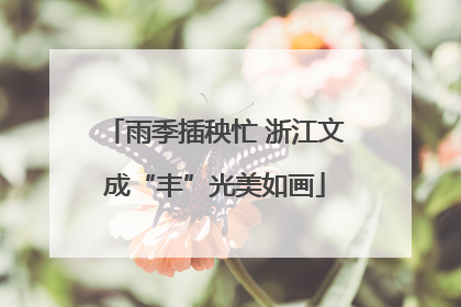 雨季插秧忙 浙江文成“丰”光美如画