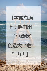 雪域高原上，他们用“小蘑菇”创造大“蘑”力！
