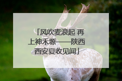 风吹麦浪起 再上神禾塬——陕西西安夏收见闻