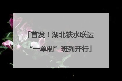 首发！湖北铁水联运“一单制”班列开行