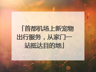 首都机场上新宠物出行服务，从家门一站抵达目的地