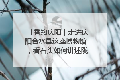 香约庆阳｜走进庆阳合水县这座博物馆，看石头如何讲述陇东千年历史