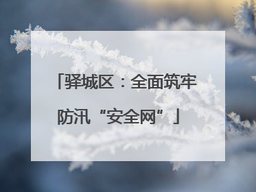 驿城区：全面筑牢防汛“安全网”