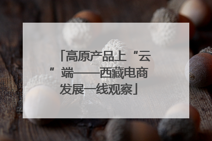 高原产品上“云”端——西藏电商发展一线观察