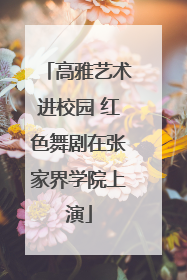 高雅艺术进校园 红色舞剧在张家界学院上演