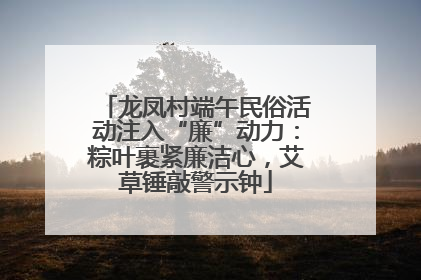 龙凤村端午民俗活动注入“廉”动力：粽叶裹紧廉洁心，艾草锤敲警示钟