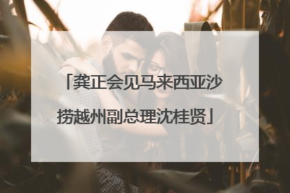 龚正会见马来西亚沙捞越州副总理沈桂贤
