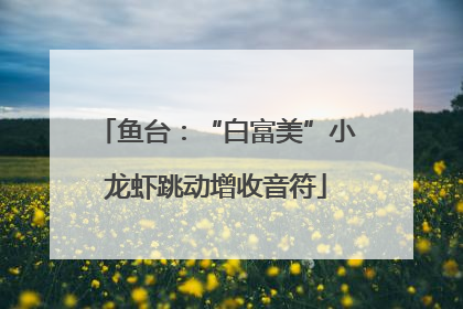 鱼台：“白富美”小龙虾跳动增收音符
