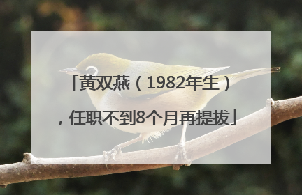 黄双燕（1982年生），任职不到8个月再提拔