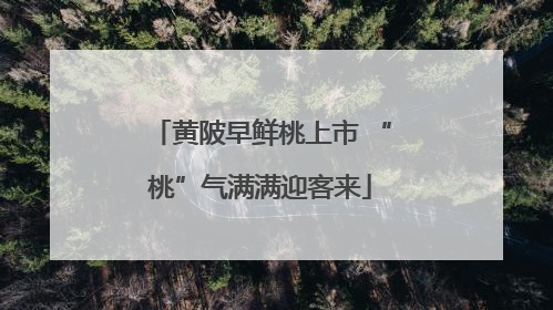 黄陂早鲜桃上市 “桃”气满满迎客来