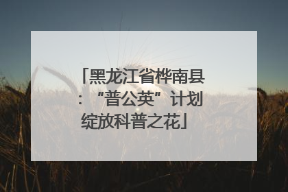 黑龙江省桦南县：“普公英”计划绽放科普之花