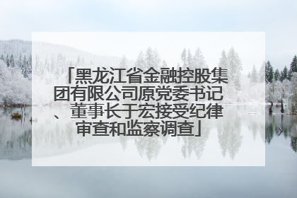 黑龙江省金融控股集团有限公司原党委书记、董事长于宏接受纪律审查和监察调查