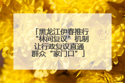 黑龙江伊春推行“林间复议”机制 让行政复议直通群众“家门口”