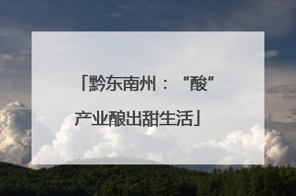 黔东南州：“酸”产业酿出甜生活