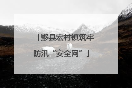 黟县宏村镇筑牢防汛“安全网”
