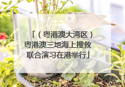（粤港澳大湾区）粤港澳三地海上搜救联合演习在港举行