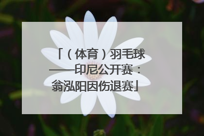 （体育）羽毛球——印尼公开赛：翁泓阳因伤退赛