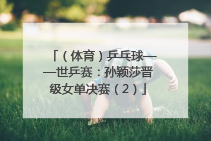 （体育）乒乓球——世乒赛：孙颖莎晋级女单决赛（2）