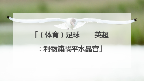 （体育）足球——英超：利物浦战平水晶宫