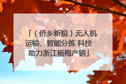 （侨乡新貌）无人机运输、智能分拣 科技助力浙江杨梅产销