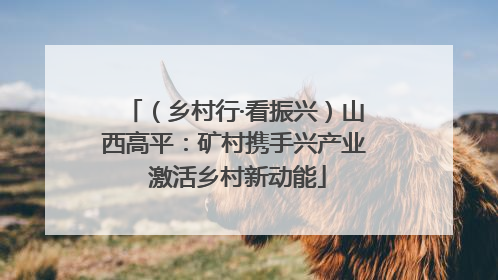 （乡村行·看振兴）山西高平：矿村携手兴产业 激活乡村新动能