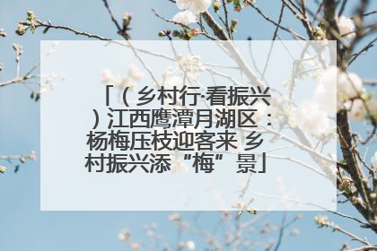 （乡村行·看振兴）江西鹰潭月湖区：杨梅压枝迎客来 乡村振兴添“梅”景