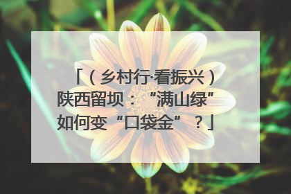 （乡村行·看振兴）陕西留坝：“满山绿”如何变“口袋金”？