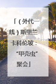 （外代一线）斯里兰卡科伦坡：“甲壳虫”聚会